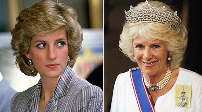 Princess Diana would have 'softened' towards Camilla: 'Can’t hate ...