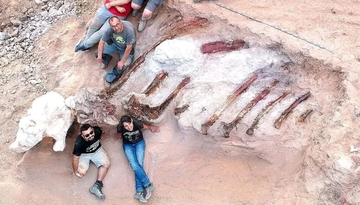 Seorang pria di Portugal menemukan tulang rusuk dinosaurus sepanjang 82 kaki di halaman belakang rumahnya