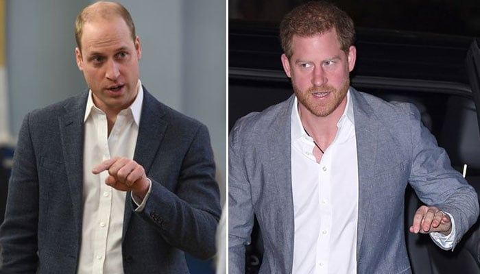 Prince Harry left to face William’s wrath for Meghan Markle’s bullying