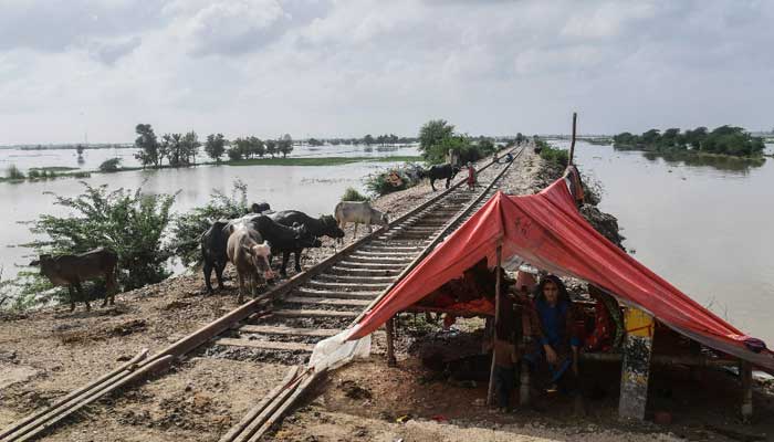 A flood affected family sits inside a makeshift tent next to a railway track after heavy monsoon rains in Jacobabad of Sindh province, on August 26, 2022. AFP