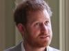 Prince Harry’s dirt slinging memoir to be a 'hit' with fans planning downfall
