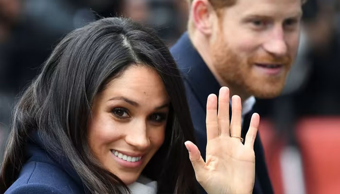 Prince Harry, Meghan Markle 'a thorn in the side' for Queen Elizabeth - Vimarsana News