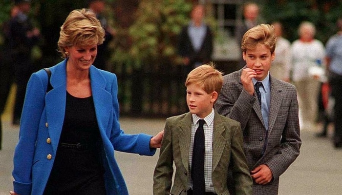 Princess Diana would be ‘absolutely distraught’ over Harry and William’s tensions