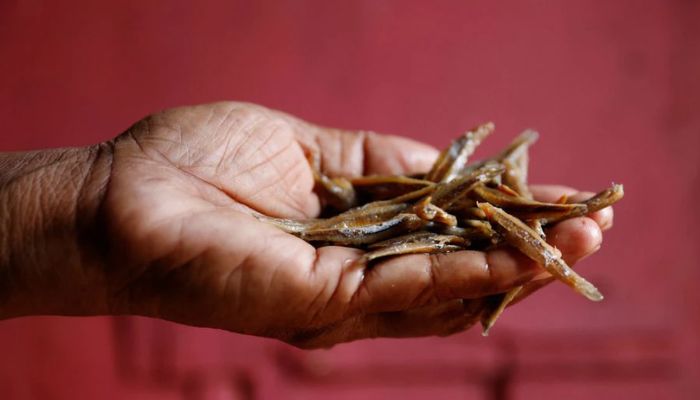 Nilanthi Gunasekera, 49, poses with a handful of dried fish, the only protein her family will have until next week, amid the countrys economic crisis, in Colombo, Sri Lanka, August 8, 2022. Before the economic crisis, we ate well and we served meat or fish to our kids at least three or four times a week. Now fish is out of the reach of our family and so is meat, said Gunasekera.— Reuters