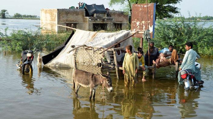 Food insecurity, economic losses: Long-term impact of deadly floods on Pakistan’s economy