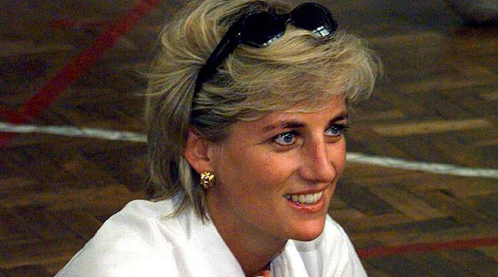 Princess Diana death involved 'fantasy' car collision: 'Door remains open'