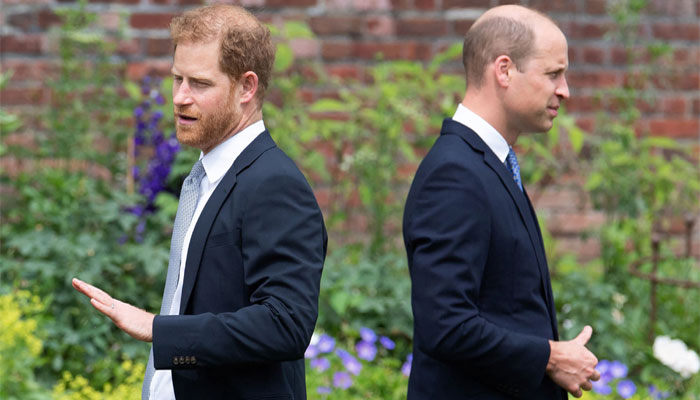 Prince William, Harry to put differences aside next year, believes psychic