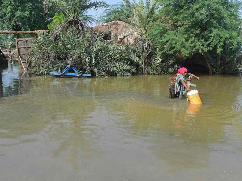 A flood-affected woman fills drinking water from a partially submerged handpump nearby her flooded house at Shikarpur in Sindh province on August 30, 2022. — AFP/ Asif Hassan