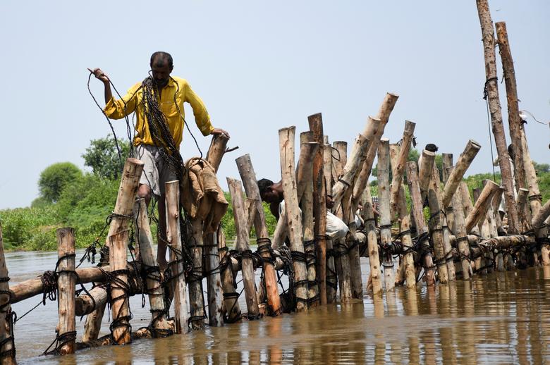 People prepare a barrier with wooden logs and sand bags to stop flood waters, following rains and floods during the monsoon season in Puran Dhoro, Badin, Pakistan, August 30.