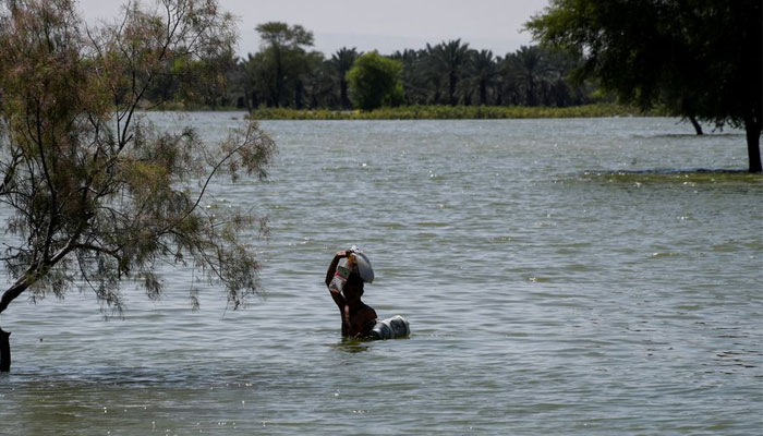 A flood victim wades through flood water, following rains and floods during the monsoon season in Bajara village, Sehwan. — Reuters