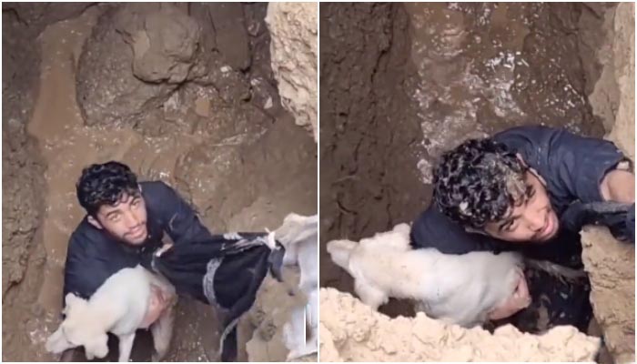 The picture shows a man saving a dog stuck in a sinkhole. — Screengrab/Twitter