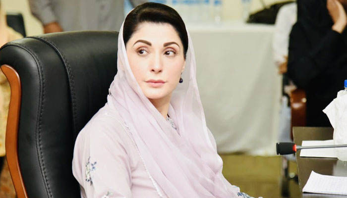 PML-N Vice President Maryam Nawaz. — Twitter