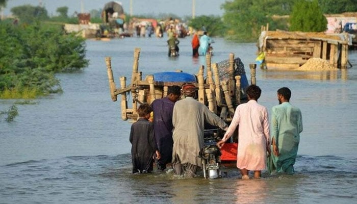 The NDMA says 1,186 people have died so far in flood-related incidents: NDMA