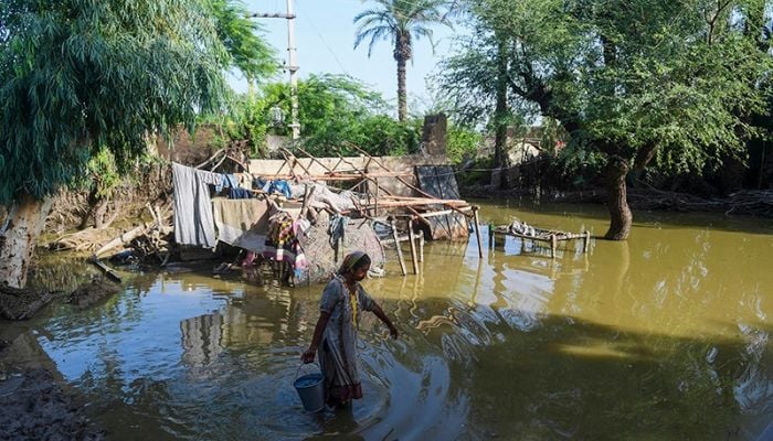 Woman drains out water from her house using bucket. - AFP