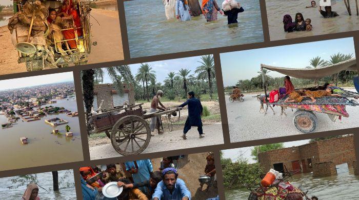 Pakistan floods: One picture, one family, one story