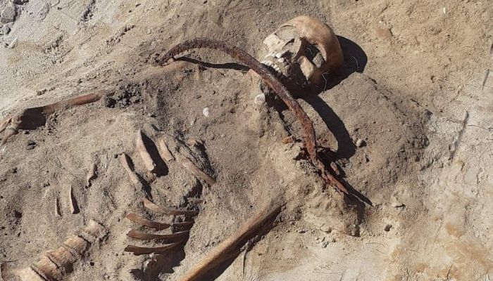 Sisa-sisa ‘vampir wanita’ ditemukan di Polandia