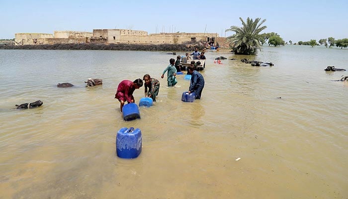 Rain affected children pulling cans of clean drinking water from flooded water for their families in major floods devastating areas. — APP/File