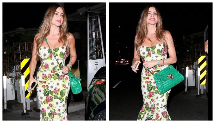 Sofia Vergara looks effortlessly chic in sundress as she steps out in Bever...