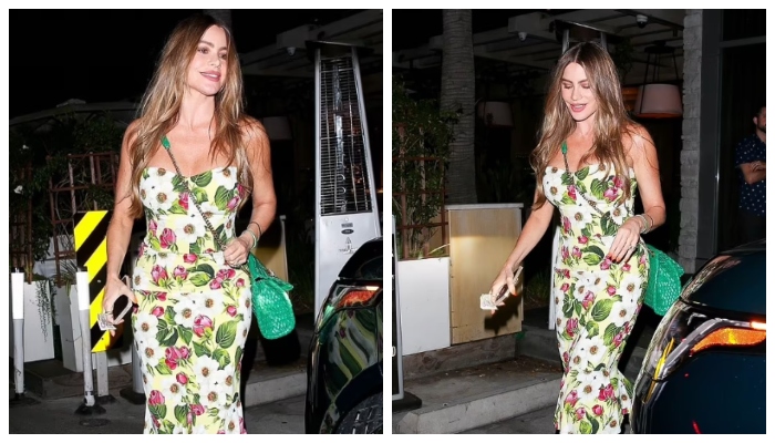 Sofia Vergara terlihat sangat chic dalam balutan gaun saat ia melangkah keluar di Beverly Hills