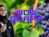Iconic 'wow, grape' meme to be sold as NFT to help flood victims in Pakistan