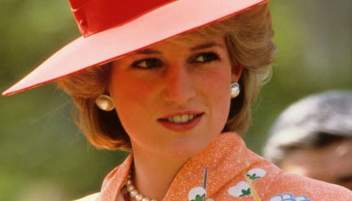 'Proud woman' Princess Diana only needed 'respect': 'Would not have rebelled' - Vimarsana News