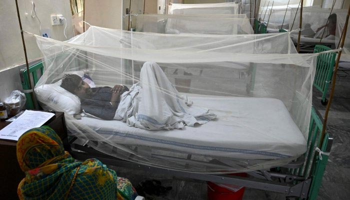 A dengue virus patient rests on a hospital bed covered with a net for protection from virus-carrying mosquitos. — AFP/File