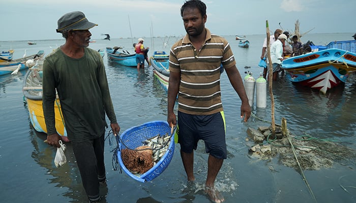 مقامی ماہی گیر ایبرٹ راجیون (دائیں) اور ایک ساتھی 16 اگست 2022 کو سری لنکا کے شہر منار میں ماہی گیری کی کشتی سے تازہ پکڑی گئی مچھلیوں کی ایک بالٹی کو ساحل تک لے جا رہے ہیں۔ — رائٹرز