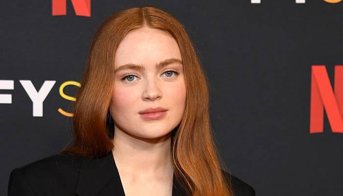 Sadie Sink has joined the cast of upcoming thriller movie Berlin Nobody