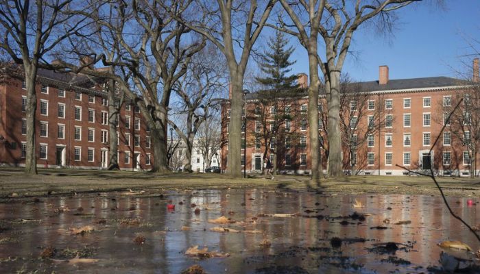 Buildings in Harvard Yard are reflected in frozen puddle at Harvard University in Cambridge, Massachusetts January 20, 2015. — Reuters