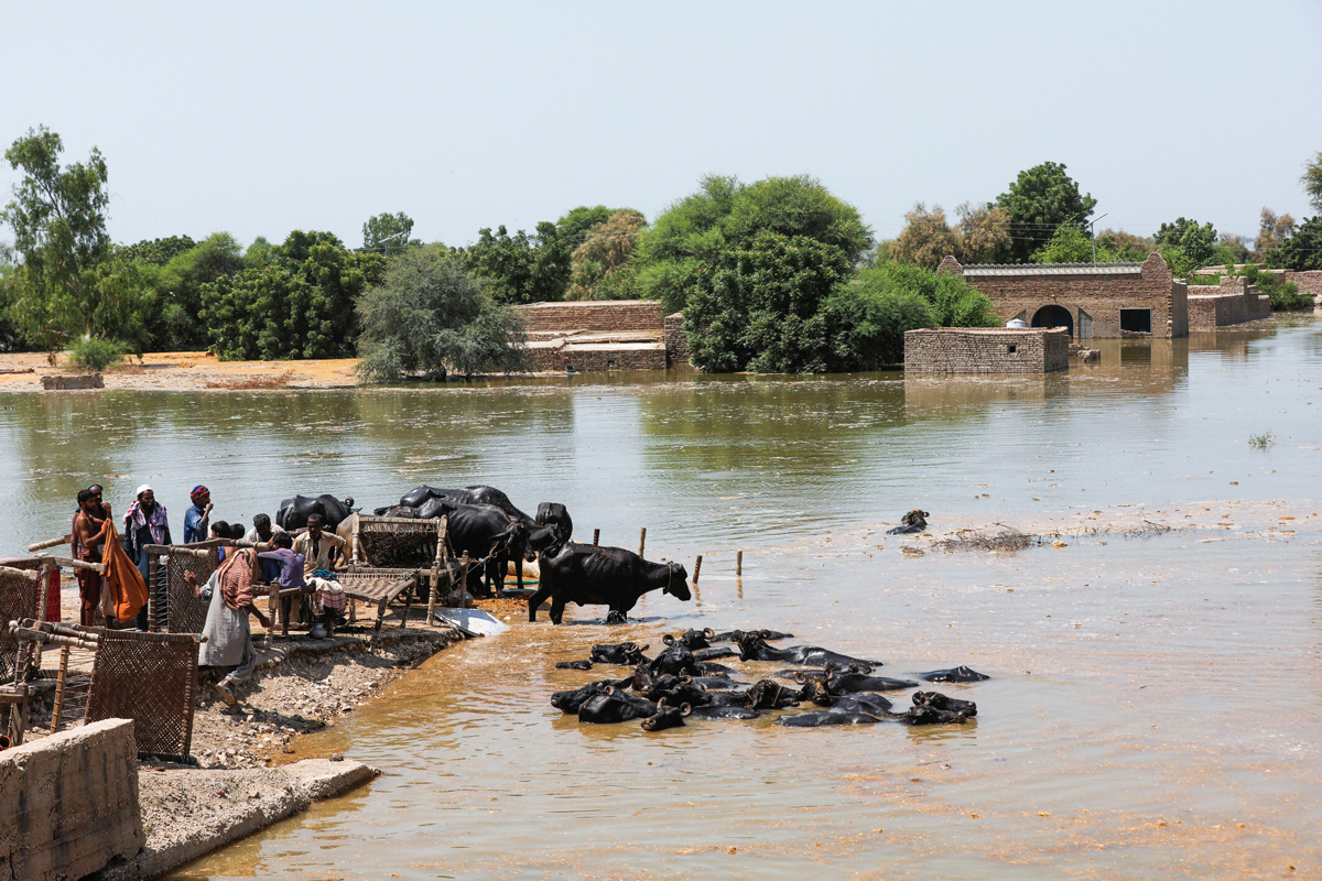 A family takes refuge with their belongings and animals amid rising flood water, following rains and floods during the monsoon season on the outskirts of Bhan Syedabad, Pakistan September 8, 2022. — By Maria Mushtaq and Waheed Ali