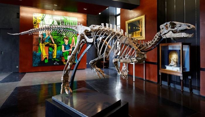 small-dinosaur-fit-for-the-living-room-to-be-sold-at-paris-auction