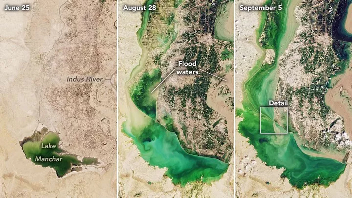 The area around Lake Manchar on July 25, August 28, and September 5, 2022, captured by NASA Landsat 8 and 9 satellites. — NASA