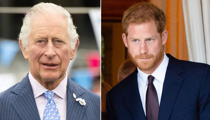 Pangeran Harry ‘menyesali’ kematian Ratu Elizabeth: ‘Merugikan peluang Netflix’