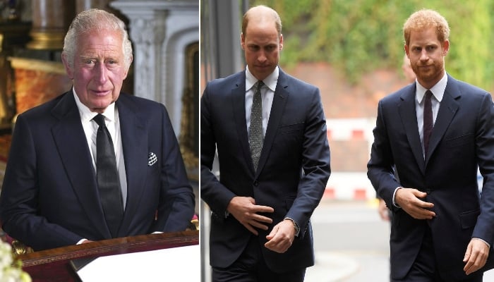 El rey Carlos hizo ESTE conmovedor gesto de apoyo a William y Harry