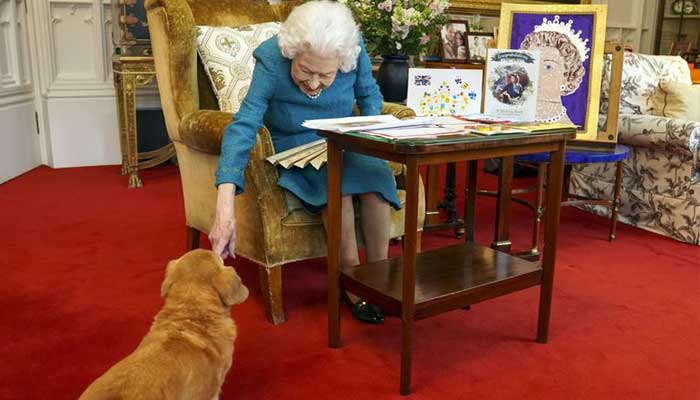 Prince Andrew to take on Queens corgis and dorgis
