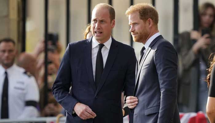 Royal expert shares shocking details about Prince Harry and Andrews royal role