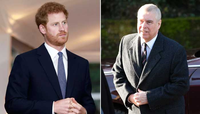 Royal expert shares shocking details about Prince Harry and Andrews royal role