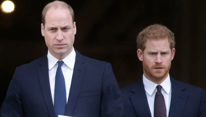 Принц Гарри и принц Уильям вынуждены демонстрировать единство ради короля Чарльза