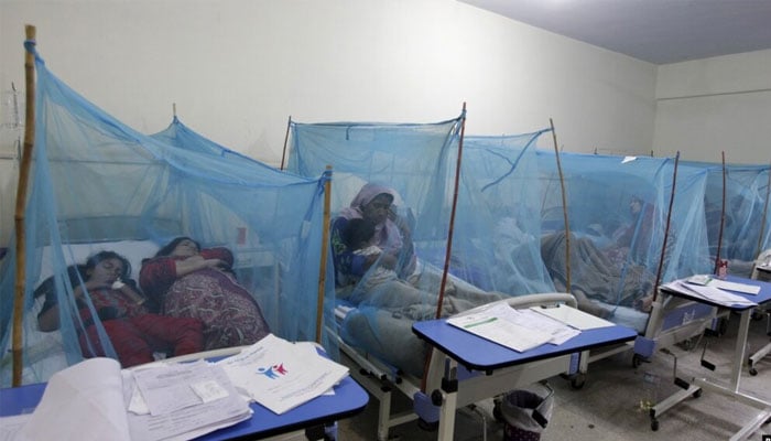 A woman holds her son, suffering from dengue fever, as she sits under a mosquito net inside a dengue ward of a local hospital in Rawalpindi. — Reuters/File