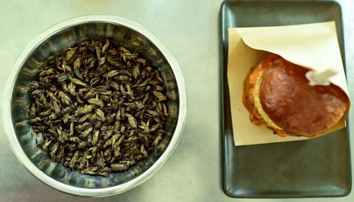 Waiter, theres an insect in my burger? A Bangkok pop-up is serving cricket burgers. — AFP