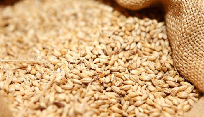 Balochistan seeks Punjab wheat at reasonable price. File photo