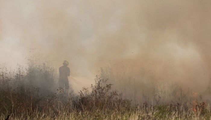 Seorang petugas pemadam kebakaran bekerja untuk memadamkan api rumput selama gelombang panas di Snodland, dekat Maidstone, Inggris, 14 Agustus 2022. — Reuters