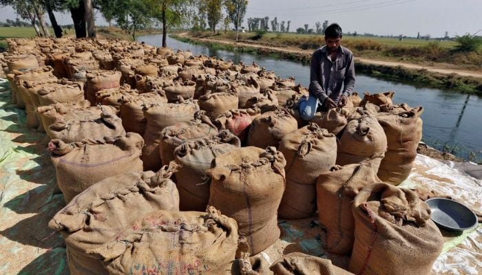 A worker packs a sack filled with rice on the outskirts of the western Indian city of Ahmedabad February 27, 2015. — Reuters