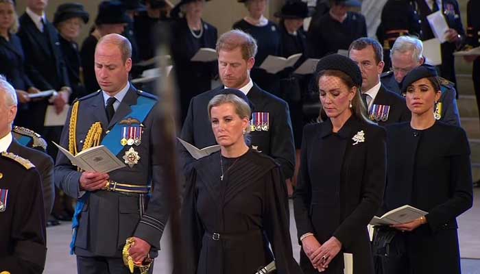Prince Harry and William refresh memories of Princess Dianas funeral with their gesture