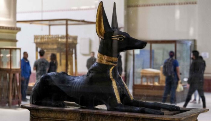 Visitors stand behind the Anubis shrine to view the other canopic shrines that were part of the burial collection of Tutankhamun (1334-1325 BC), found in 1922 at his tomb KV62 and currently on display at the Egyptian Museum in the capital Cairo on February 2, 2022. Ahead of the bicentenary of the deciphering of the Rosetta Stone -- which unlocked the key to reading ancient hieroglyphs -- and the 100th anniversary of Carter´s earth-shattering discovery, Egyptians are demanding that their contributions to the discoveries be recognised and artefacts abroad returned.