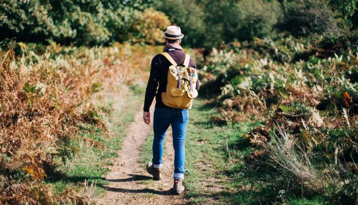 440441 051219 updates