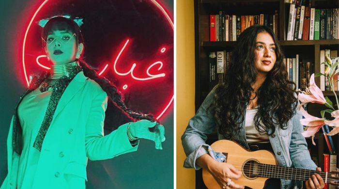 Pakistani, Indian artists team up to celebrate South Asia heritage Pakistani, Indian artists team up to celebrate South Asia heritage