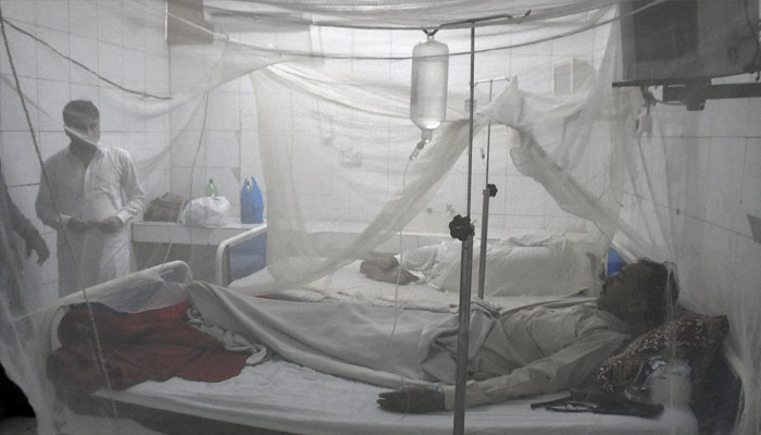 وفاقی دارالحکومت کے پولی کلینک کے ڈینگی وارڈ میں ڈینگی کے مریض مچھروں کی دانی کے نیچے آرام کر رہے ہیں۔  — آن لائن/ سلطان بشیر