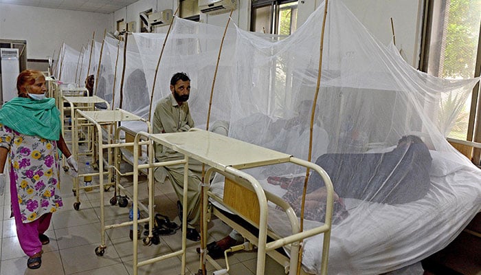 Dengue patients rest under mosquito nets at the dengue ward in the hospital, in Provincial Capital.— ONLINE/File
