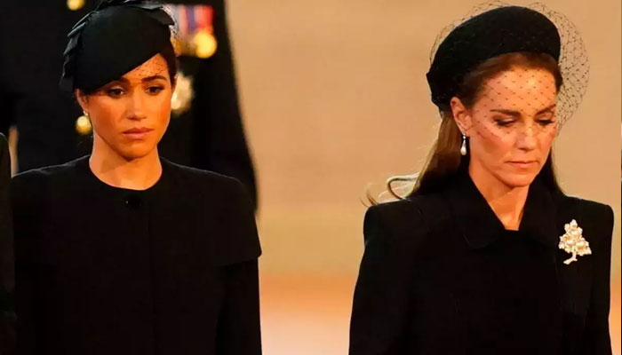 Meghan Markle looked like ‘desperate puppy’ during recent appearance